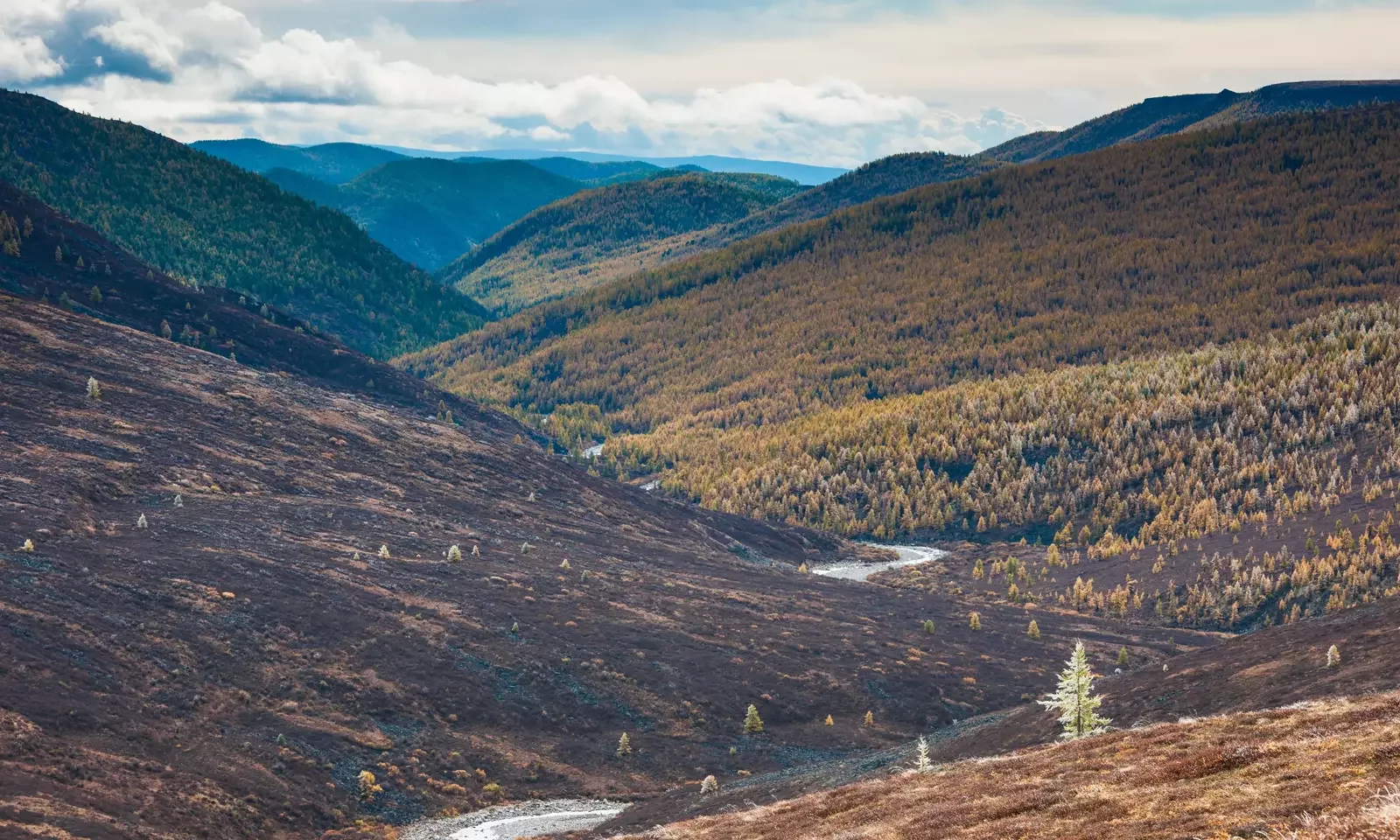 4 Must-Visit Places in Mongolia for First-Time Travelers